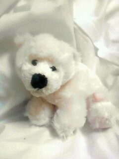 かわいいくまのぬいぐるみの画像を貼っていくトピ