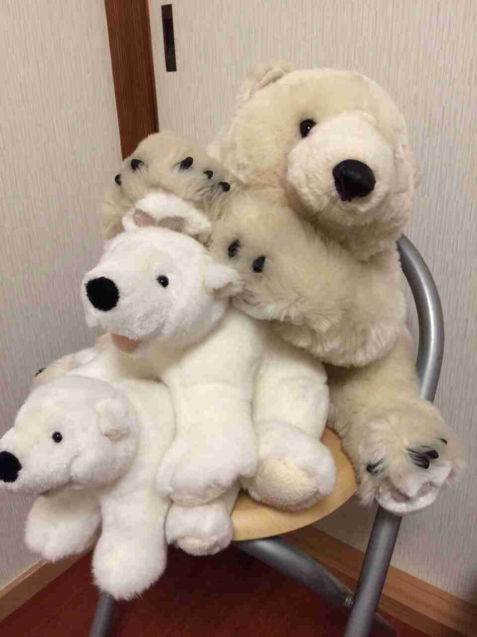 かわいいくまのぬいぐるみの画像を貼っていくトピ