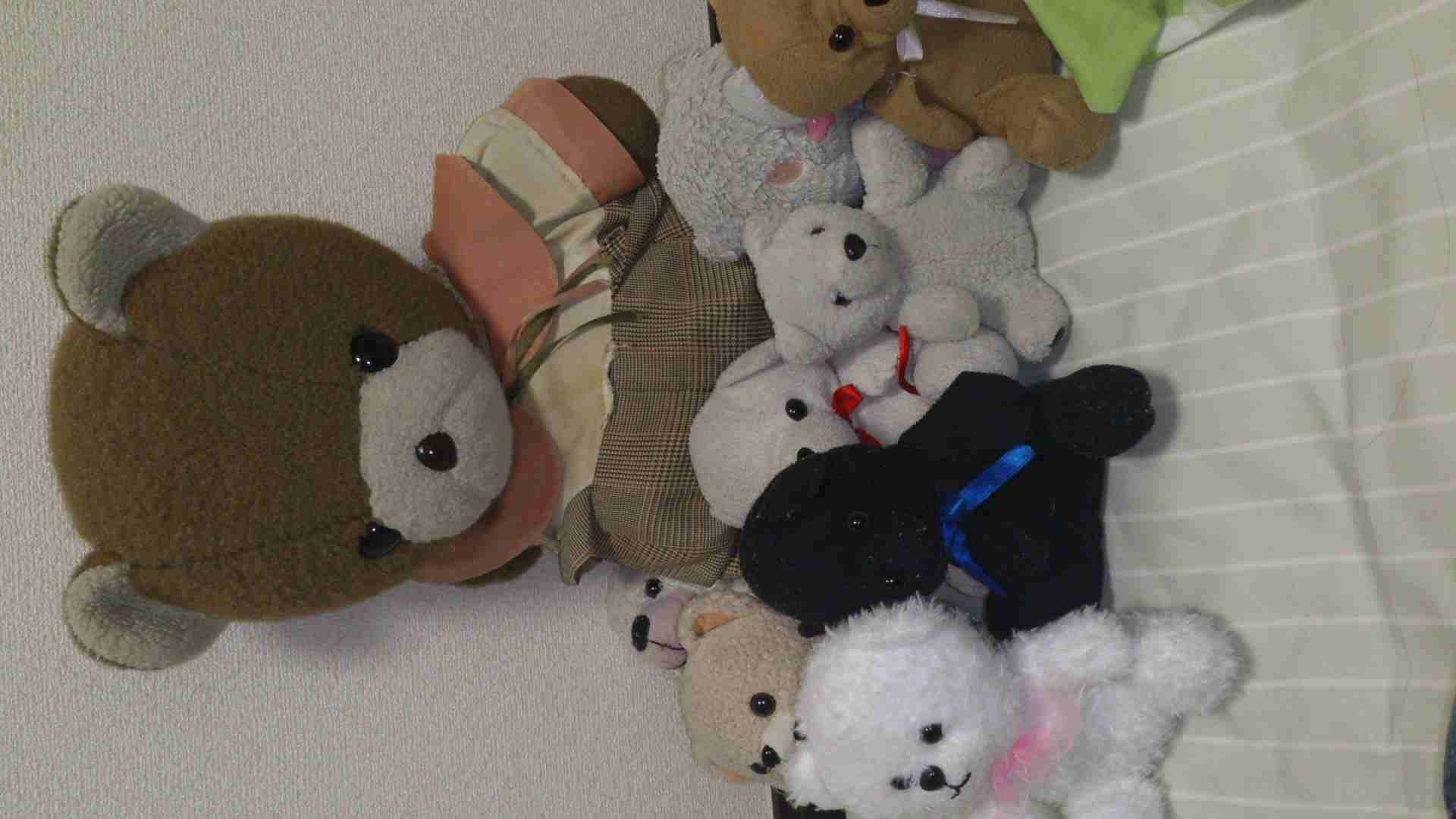 かわいいくまのぬいぐるみの画像を貼っていくトピ