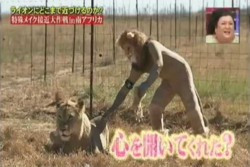 元気がでる画像ください！