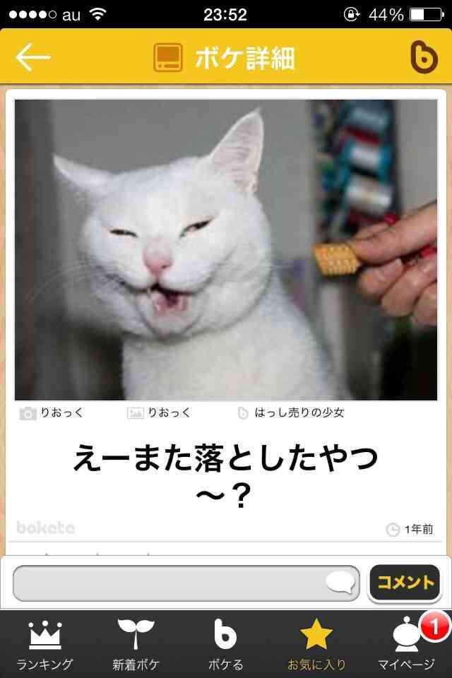 元気がでる画像ください！