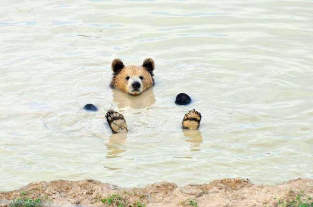 元気がでる画像ください！