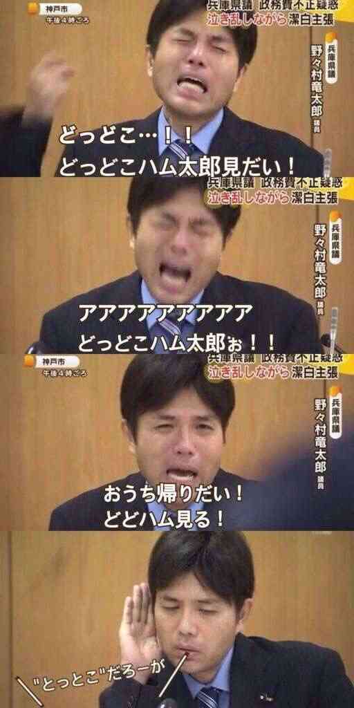元気がでる画像ください！