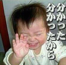 元気がでる画像ください！