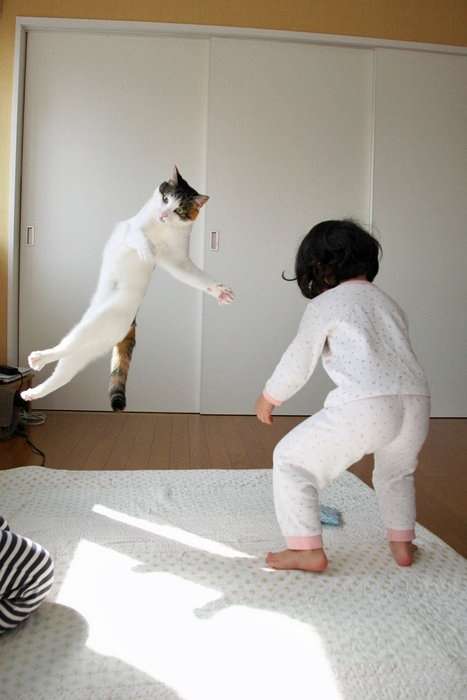元気がでる画像ください！