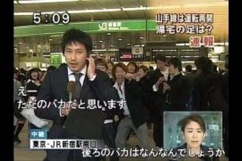 元気がでる画像ください！