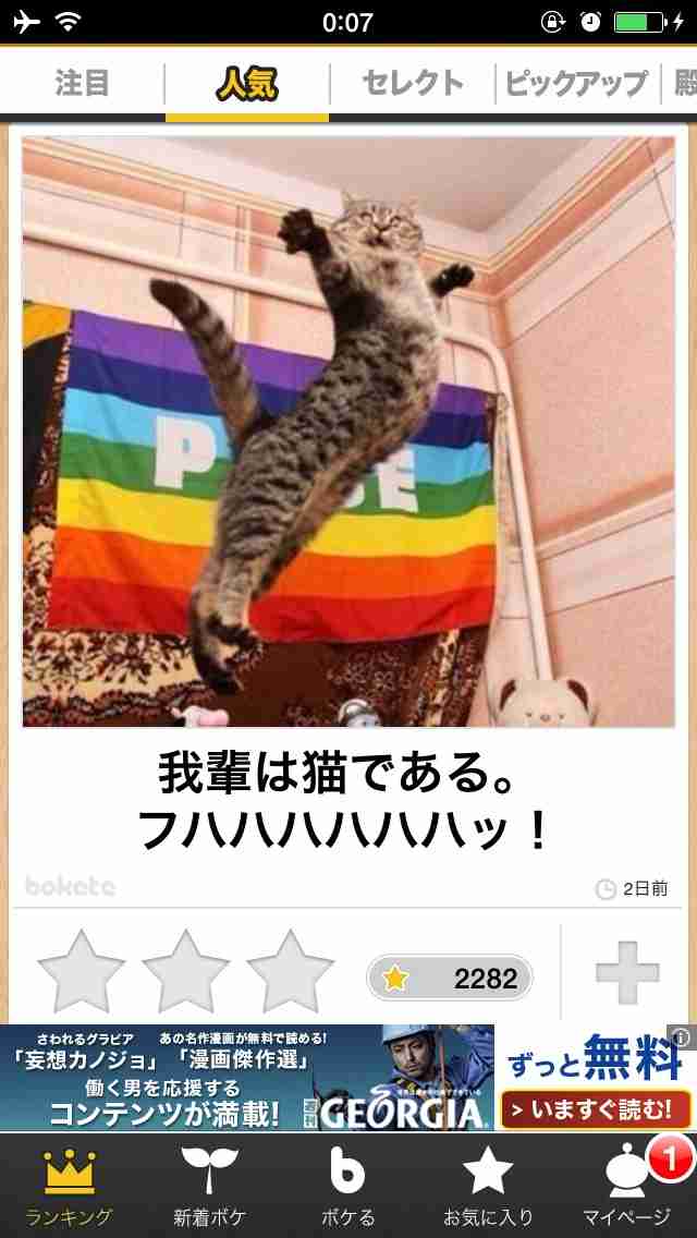 元気がでる画像ください！