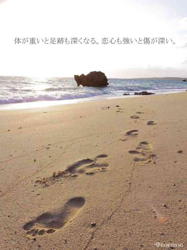 元気がでる画像ください！