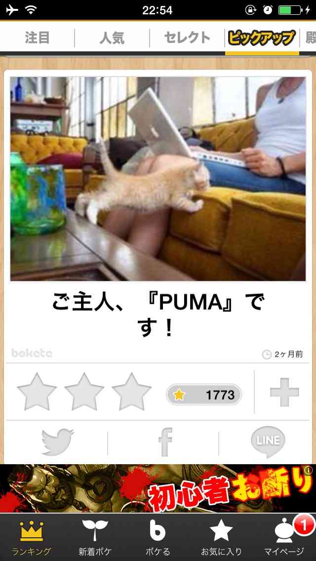2014年の締めくくりに「ボケて」を貼っていこう