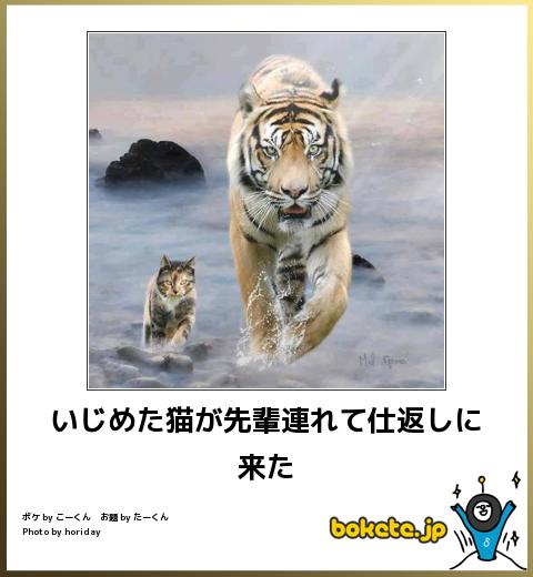 2014年の締めくくりに「ボケて」を貼っていこう