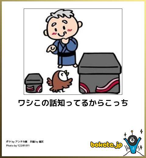 2014年の締めくくりに「ボケて」を貼っていこう