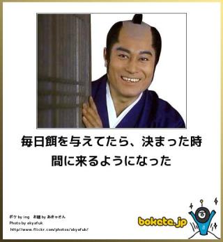 2014年の締めくくりに「ボケて」を貼っていこう