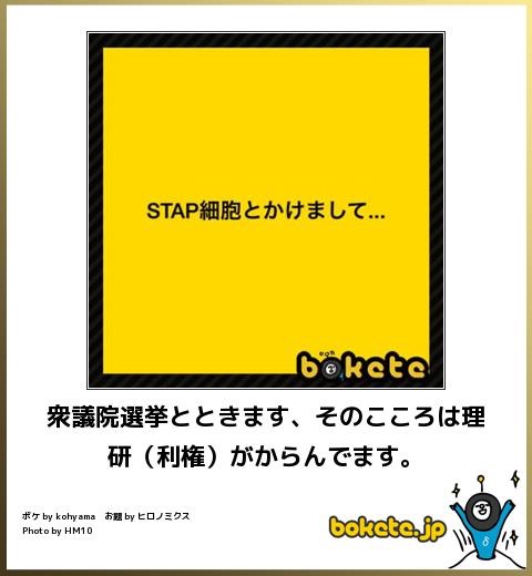 2014年の締めくくりに「ボケて」を貼っていこう