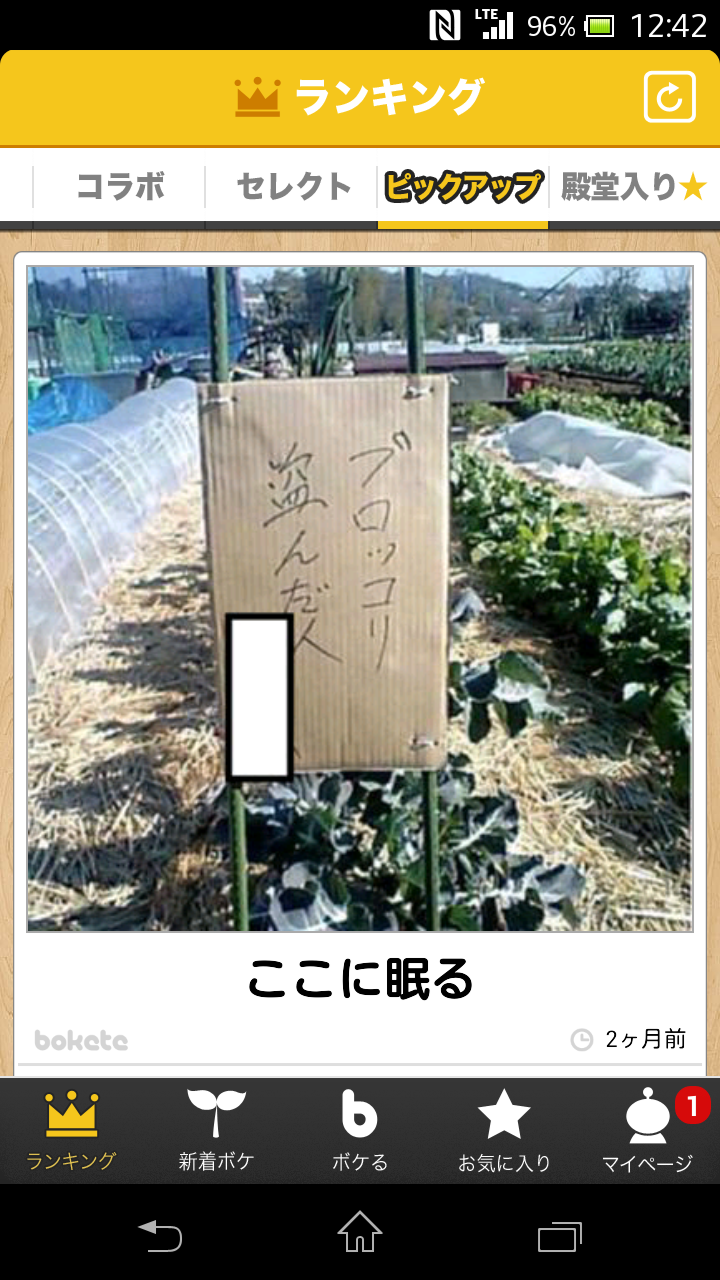 2014年の締めくくりに「ボケて」を貼っていこう
