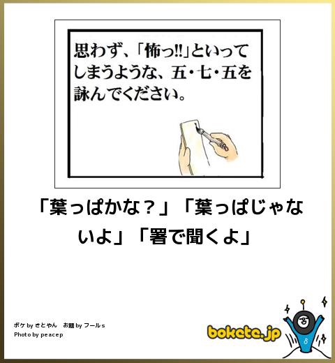 2014年の締めくくりに「ボケて」を貼っていこう