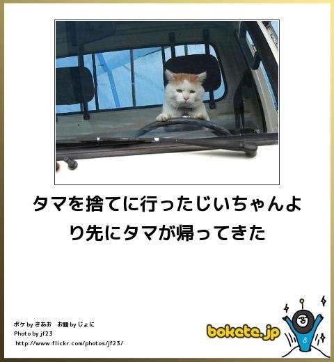 2014年の締めくくりに「ボケて」を貼っていこう
