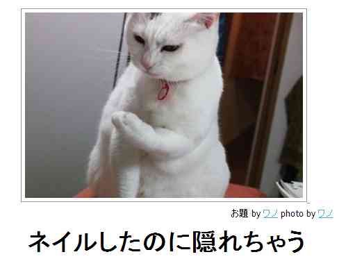 2014年の締めくくりに「ボケて」を貼っていこう