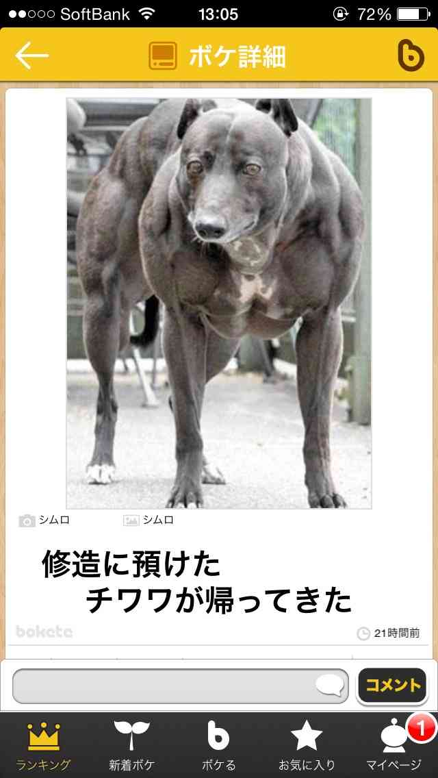 2014年の締めくくりに「ボケて」を貼っていこう