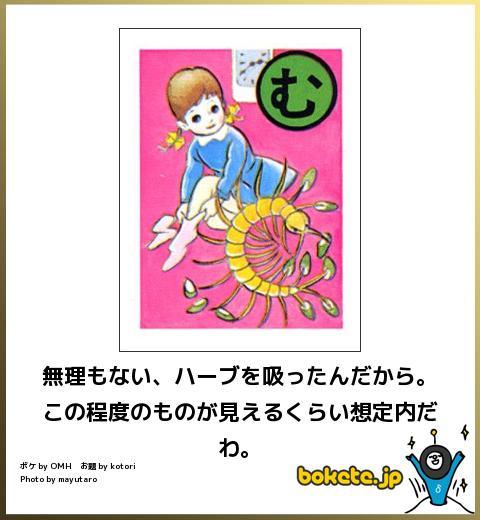 2014年の締めくくりに「ボケて」を貼っていこう