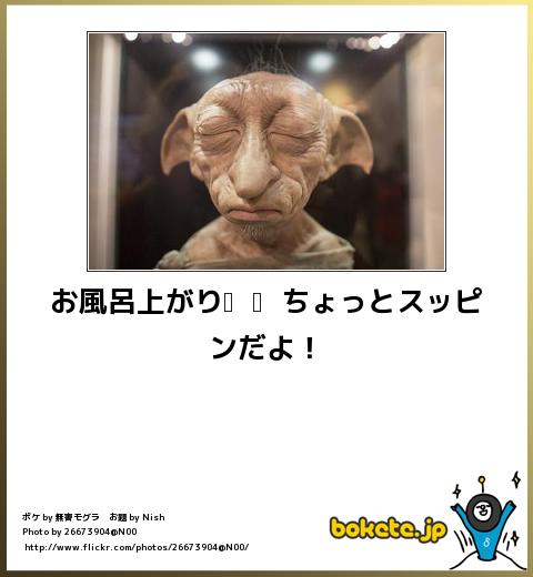 2014年の締めくくりに「ボケて」を貼っていこう