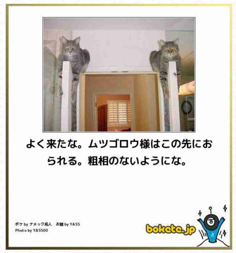 2014年の締めくくりに「ボケて」を貼っていこう