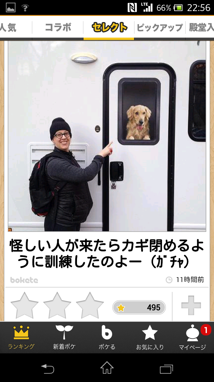 2014年の締めくくりに「ボケて」を貼っていこう