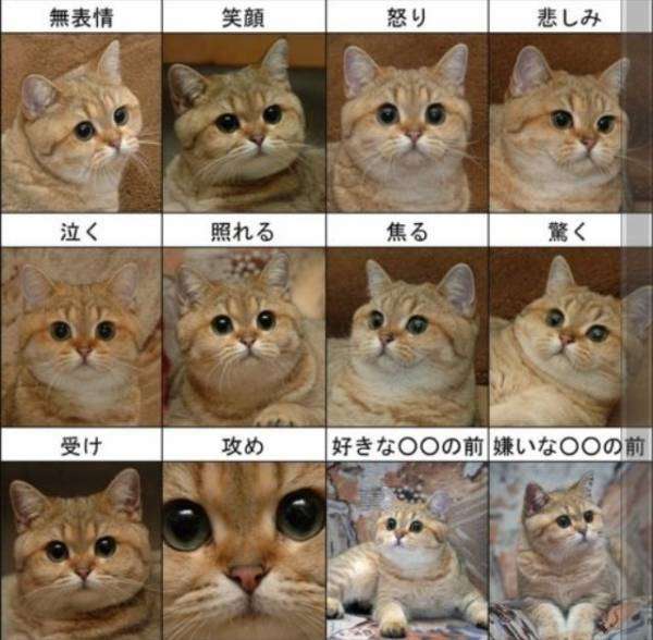 2014年の締めくくりに「ボケて」を貼っていこう