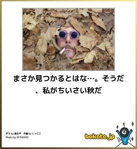 2014年の締めくくりに「ボケて」を貼っていこう