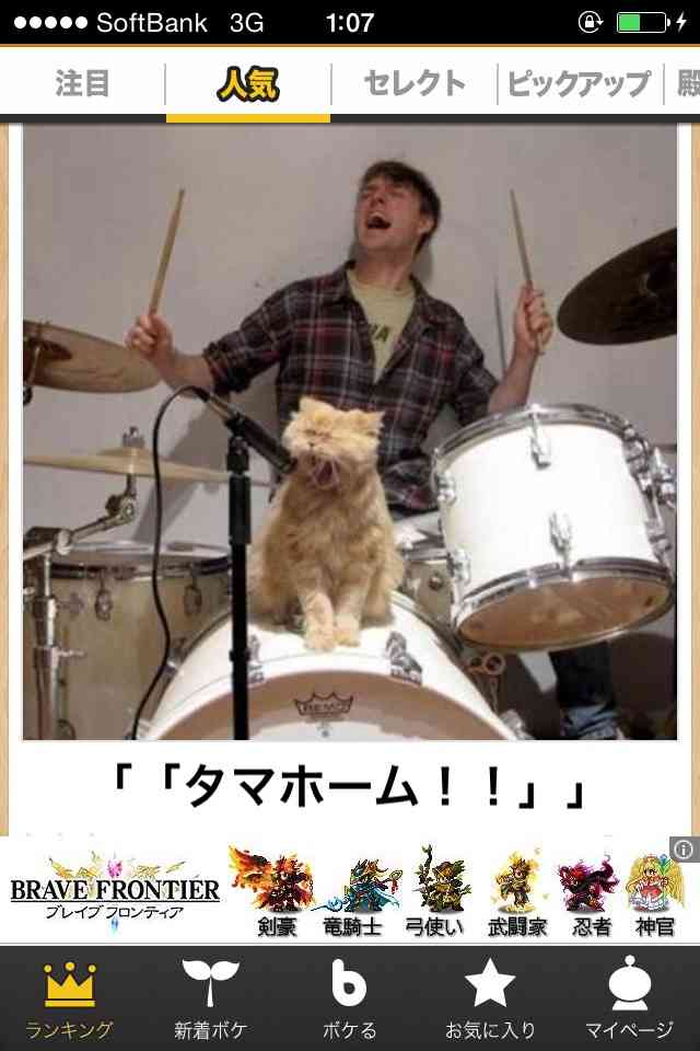 2014年の締めくくりに「ボケて」を貼っていこう