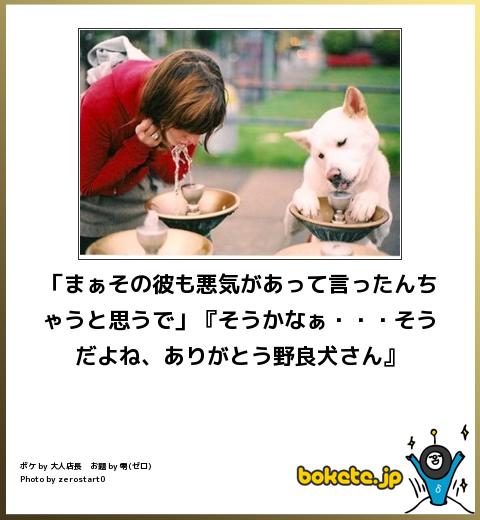 2014年の締めくくりに「ボケて」を貼っていこう