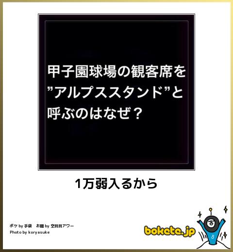 2014年の締めくくりに「ボケて」を貼っていこう