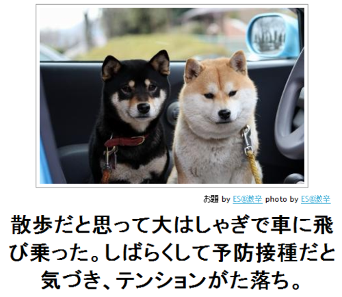 2014年の締めくくりに「ボケて」を貼っていこう