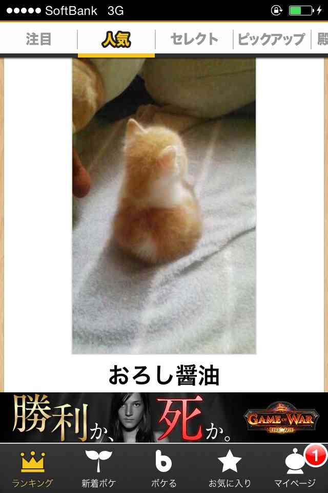 2014年の締めくくりに「ボケて」を貼っていこう