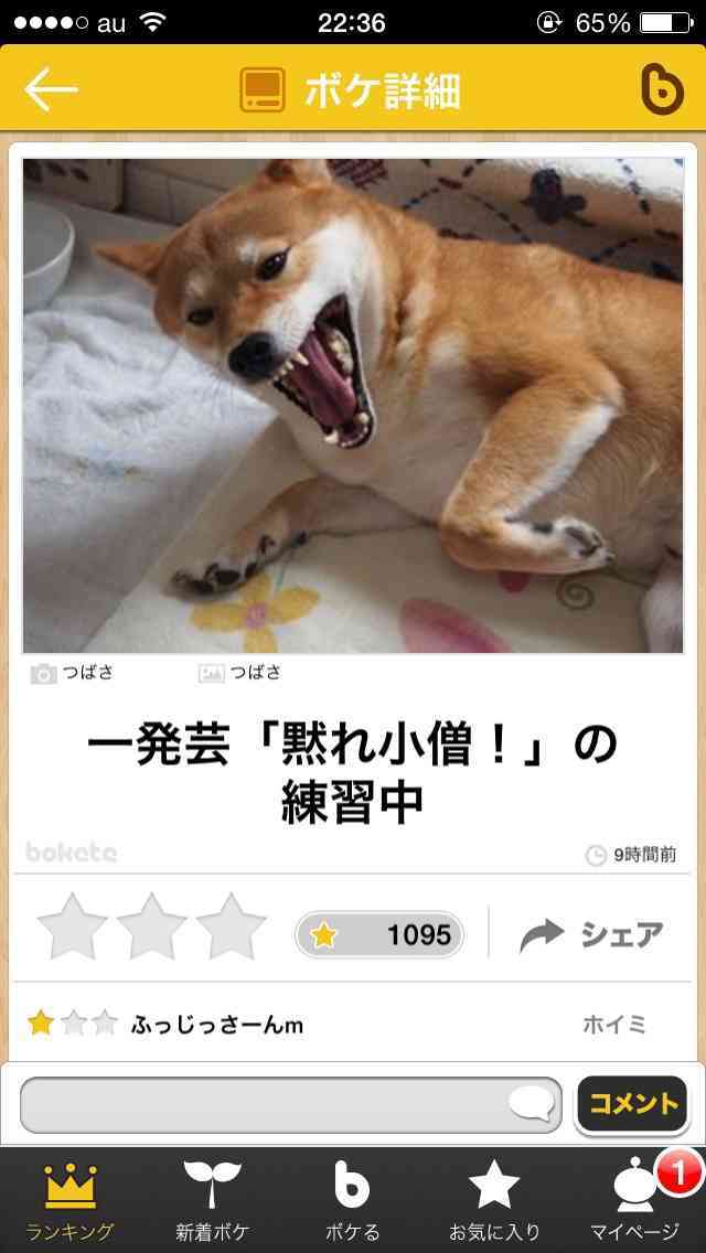 2014年の締めくくりに「ボケて」を貼っていこう
