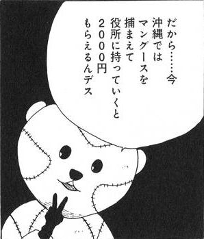 嫁入り「漫画」教えて〜!