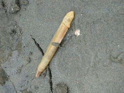 あまりにデカい！ブリトニー・スピアーズを虜にした元夫のイチモツ画像に米ネット民が騒然