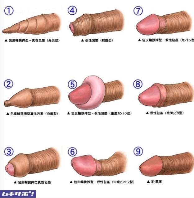 あまりにデカい!ブリトニー・スピアーズを虜にした元夫のイチモツ画像に米ネット民が騒然