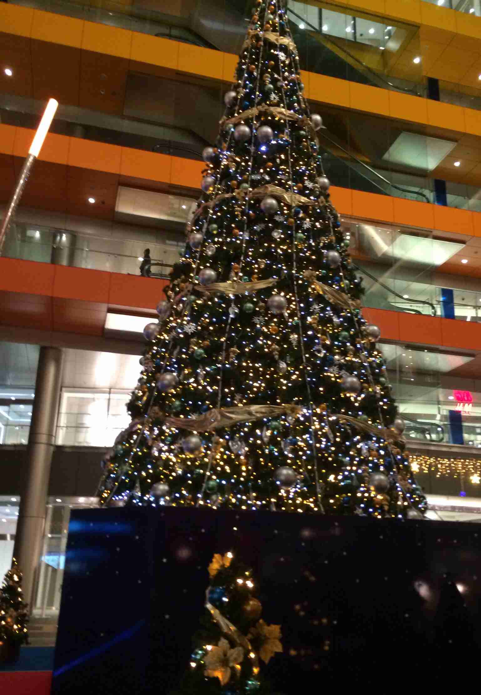 近場でおすすめのクリスマスツリー