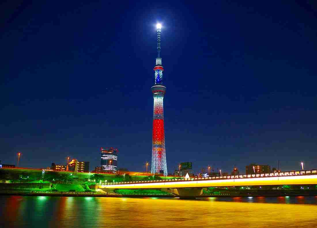 近場でおすすめのクリスマスツリー