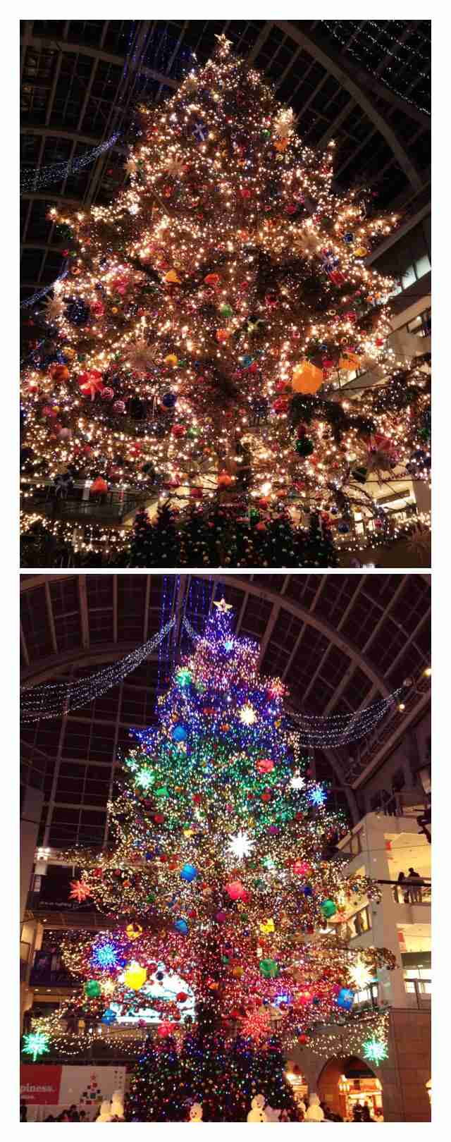 近場でおすすめのクリスマスツリー