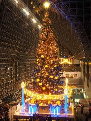 近場でおすすめのクリスマスツリー