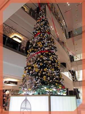 近場でおすすめのクリスマスツリー