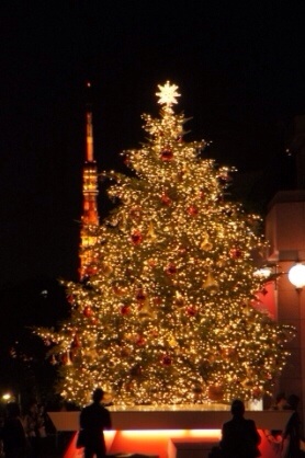 近場でおすすめのクリスマスツリー