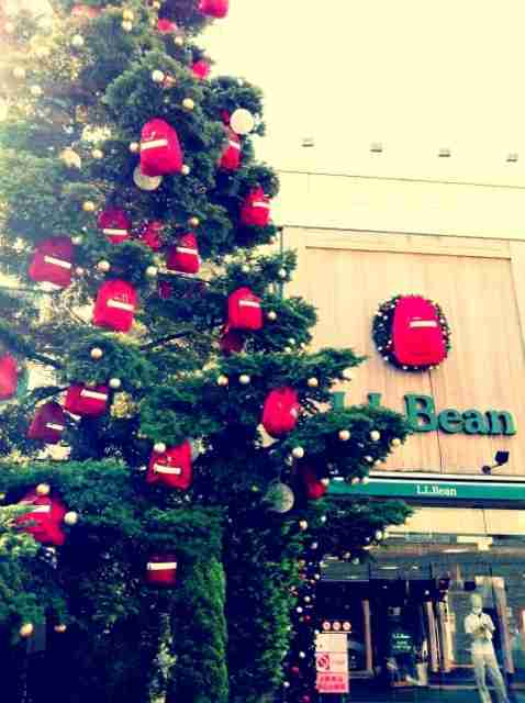 近場でおすすめのクリスマスツリー