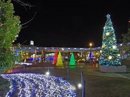 近場でおすすめのクリスマスツリー
