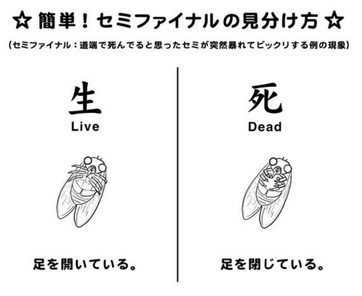 役立つ画像を貼っていきましょう！