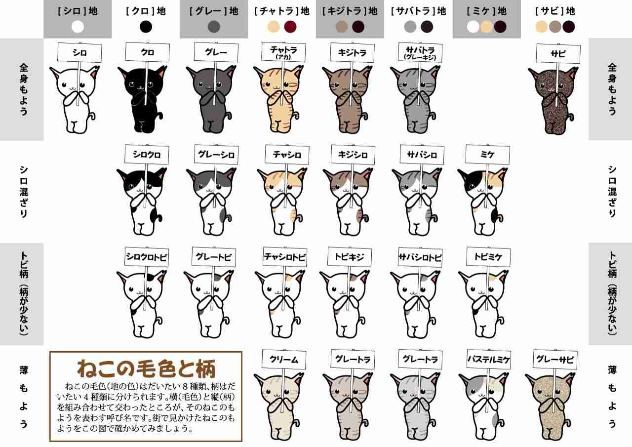 役立つ画像を貼っていきましょう！