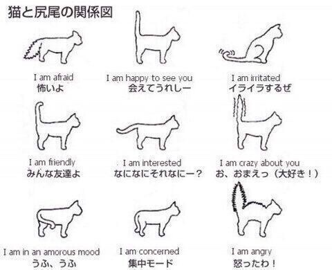 役立つ画像を貼っていきましょう！