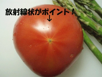 役立つ画像を貼っていきましょう！
