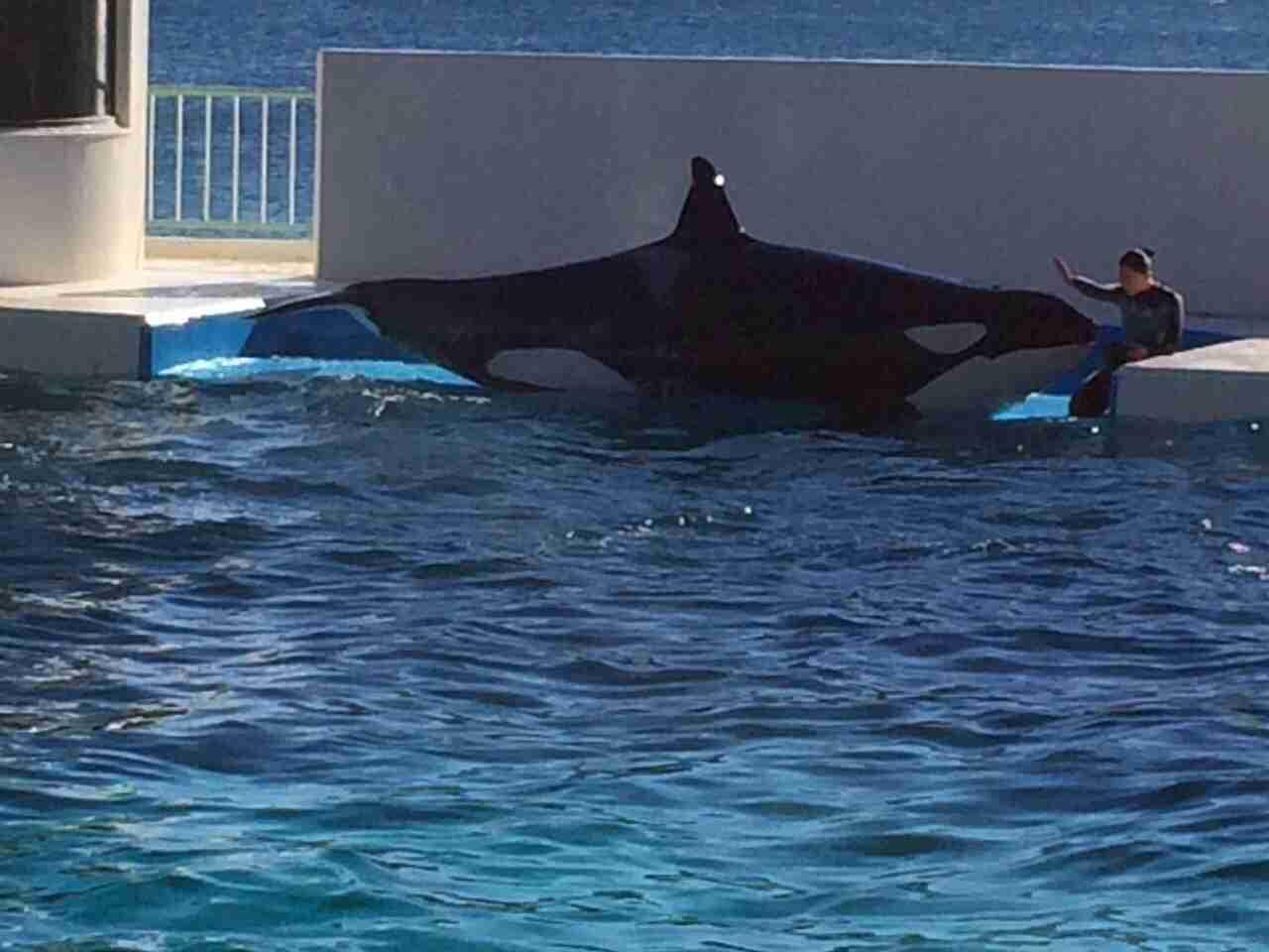 ガルちゃん水族館♪
